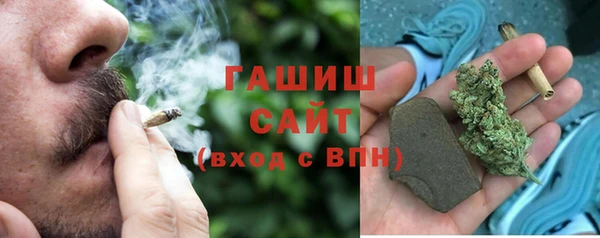 гашик Пестово