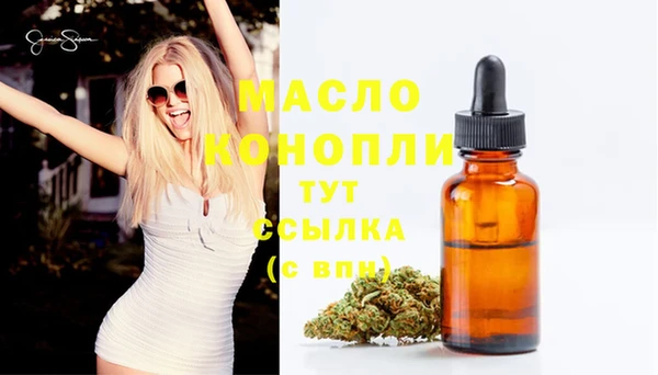 гашик Пестово