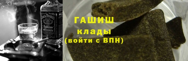 гашик Пестово