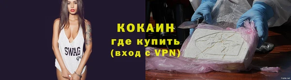 гашик Пестово