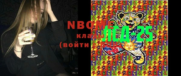 гашик Пестово