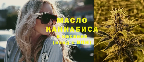 гашик Пестово