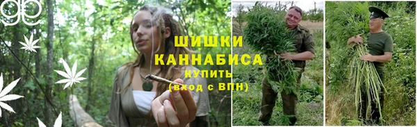 гашик Пестово