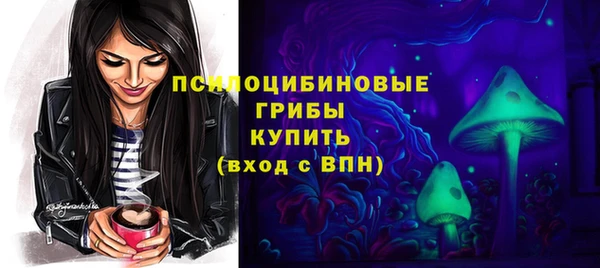 гашик Пестово