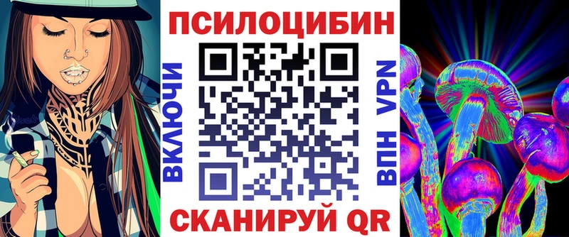 Псилоцибиновые грибы Psilocybe  купить наркоту  Покров 